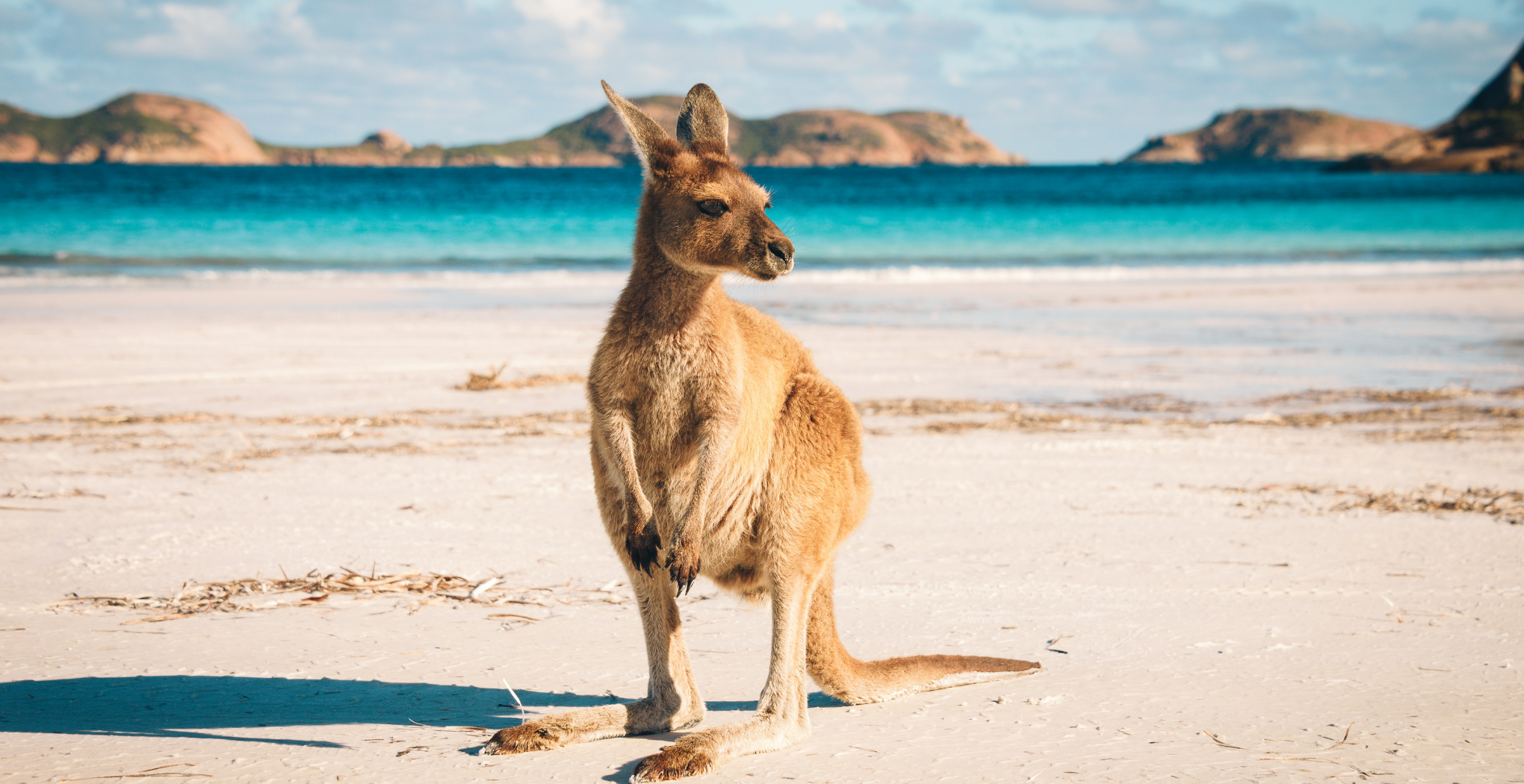Australia Chat Rooms – Enjoy CMX Chat Rooms