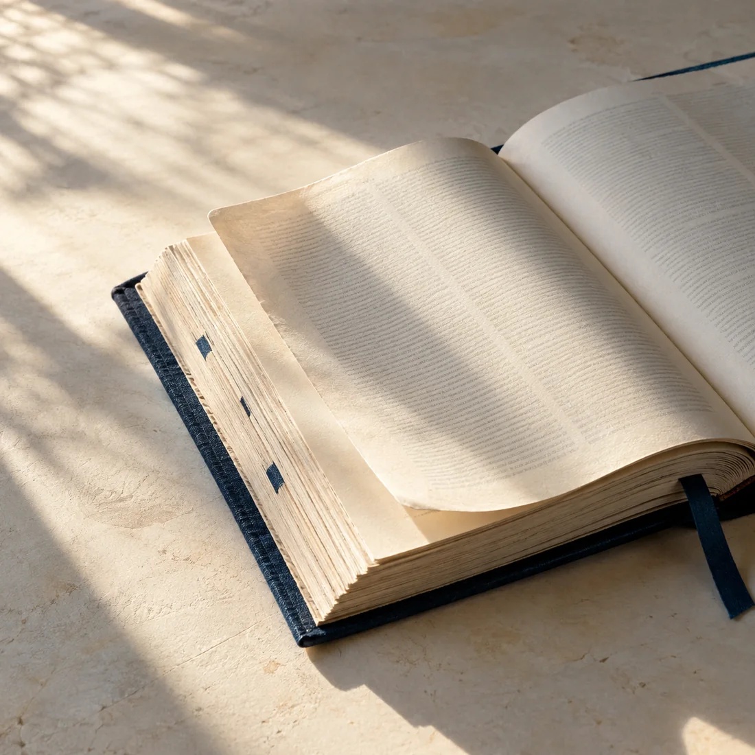 An open blue linen-bound book in soft natural light.